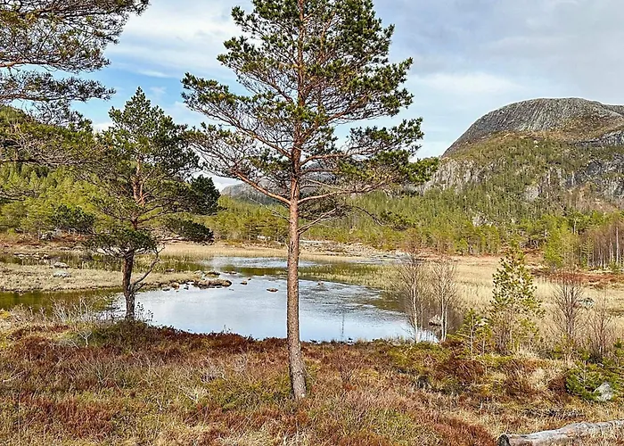 Tatil Evi 4 Person In Lysoysundet Teksdal